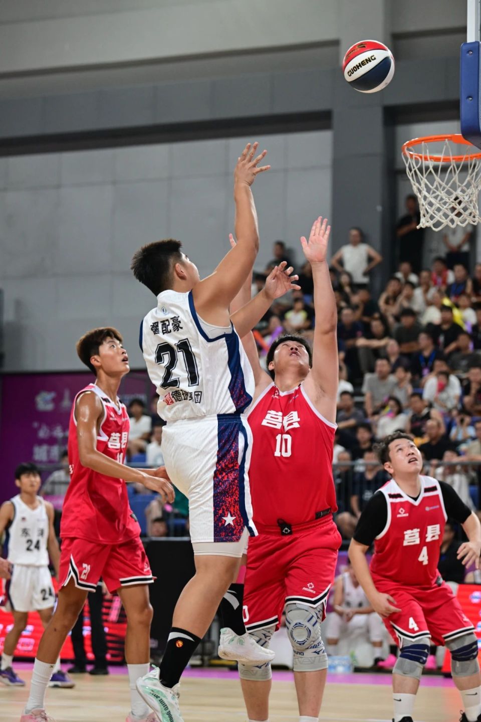 金马集团, kroVt, my